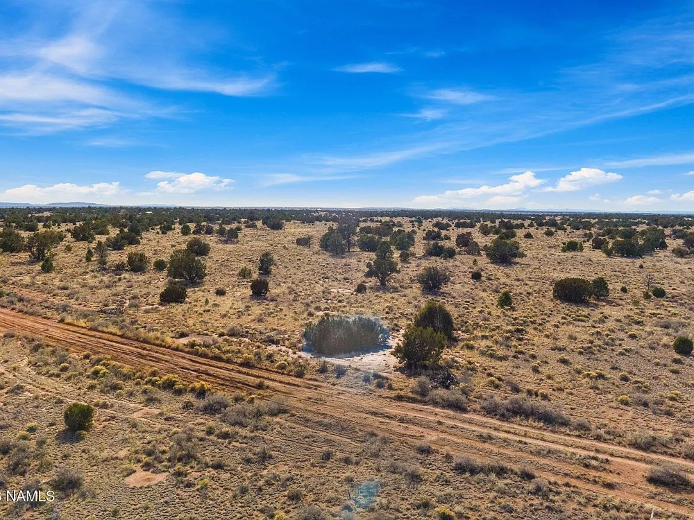 Williams, AZ
